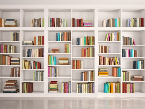 Bookshelf Assembly in Westerville